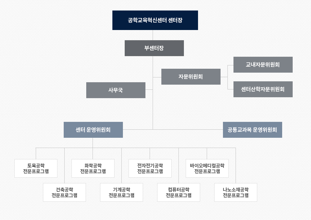 공학교육혁신센터 조직도. 공학교육혁신센터 아래에 부센터장. 그 아래에 사무국과 자문위원회. 자문위원회 아래에 교내자문위원회, 센터산학자문위원회. 사무국과 자문위원회 아래에 센터 운영위원회와 공통교과목 운영위원회. 센터 운영위원회 아래에 토목공학전문프로그램, 화학공학전문프로그램, 전자전기공학전문프로그램, 바이오메디컬공학전문프로그램, 건축공학전문프로그램, 기계공학전문프로그램, 컴퓨터공학전문프로그램, 나노소재공학전문프로그램.